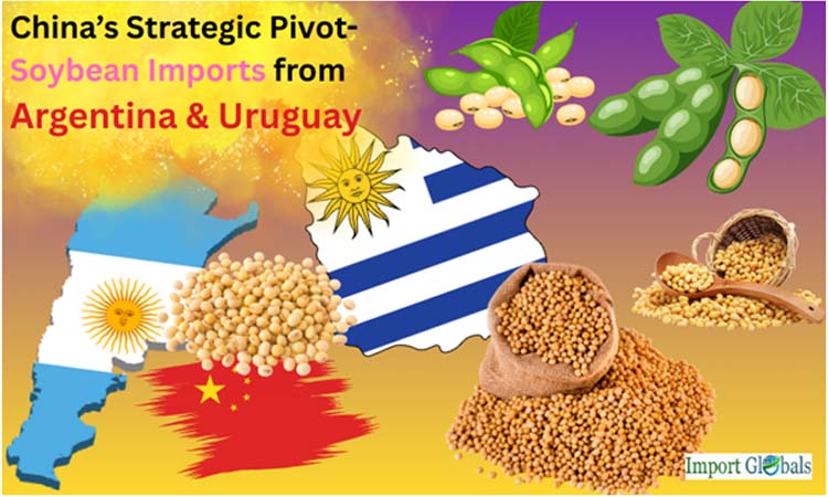 China’s Strategic Pivot: Soybean Imports From Argentina & Uruguay China’s Strategic Pivot: Soybean Imports From Argentina & Uruguay