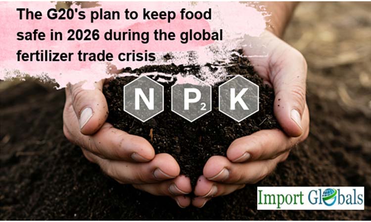 The G20's Plan to Keep Food Safe in 2026 During the Global Fertilizer Trade Crisis