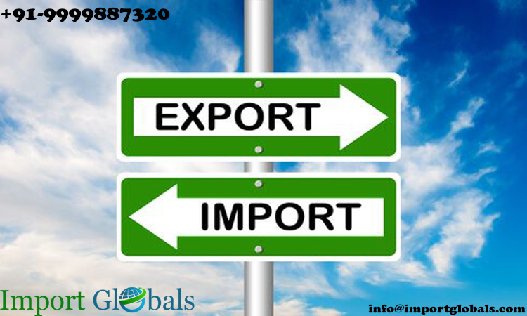 What are the best Import Export Ideas for 2022?