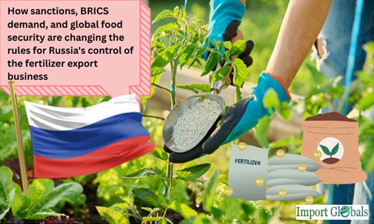 How Sanctions, Brics Demand, and Global Food Security Are Changing the Rules for Russia's Control of the Fertilizer Export Business